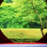 太極拳の稽古法「推手」の弱点は酔拳？