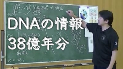 DNAに入ってる38億年の叡智にアクセスする