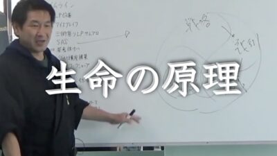経営者必見〜生命の原理に従うことの重要性